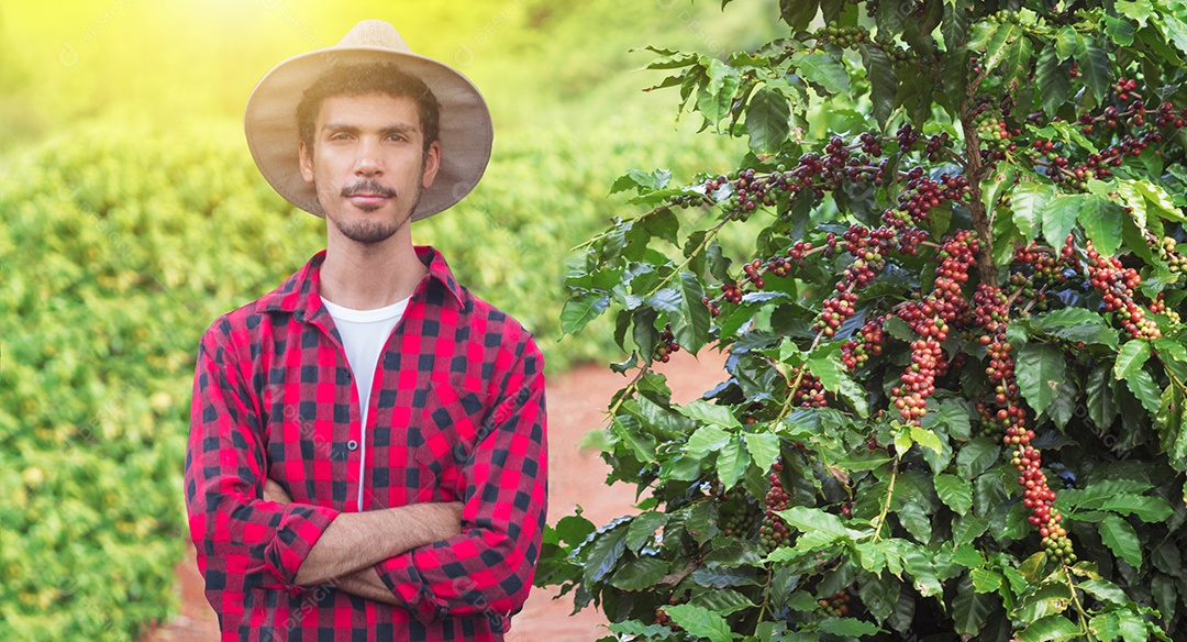 Agricultor com tablet no campo de plantação de café ao pôr do sol