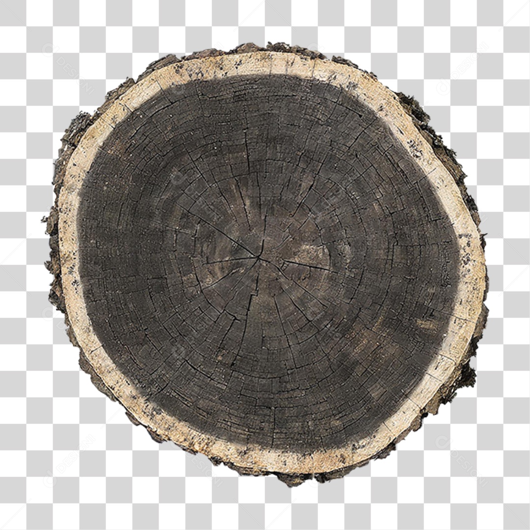 Pedaço de Madeira PNG Transparente