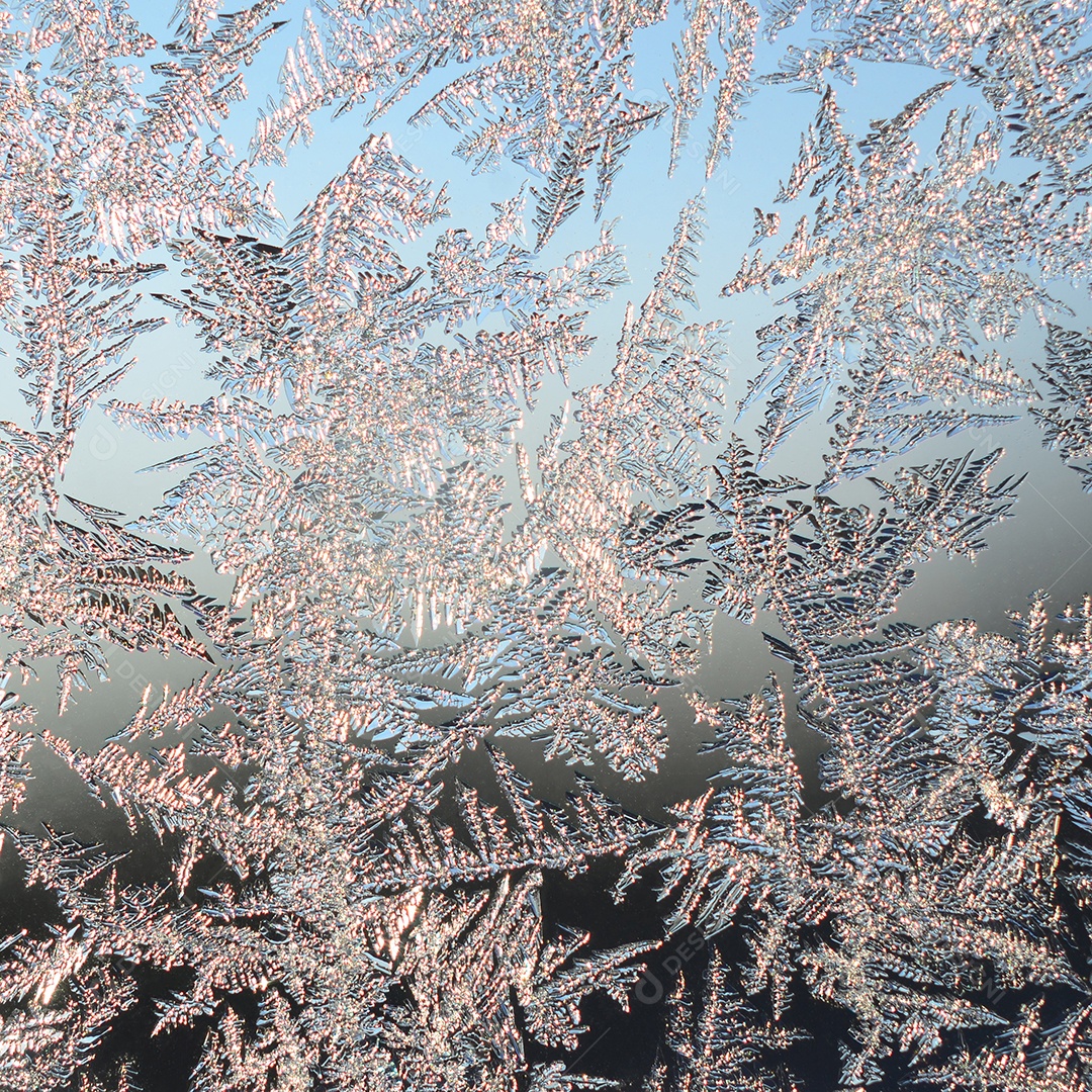 Geada de neve em janela de vidro