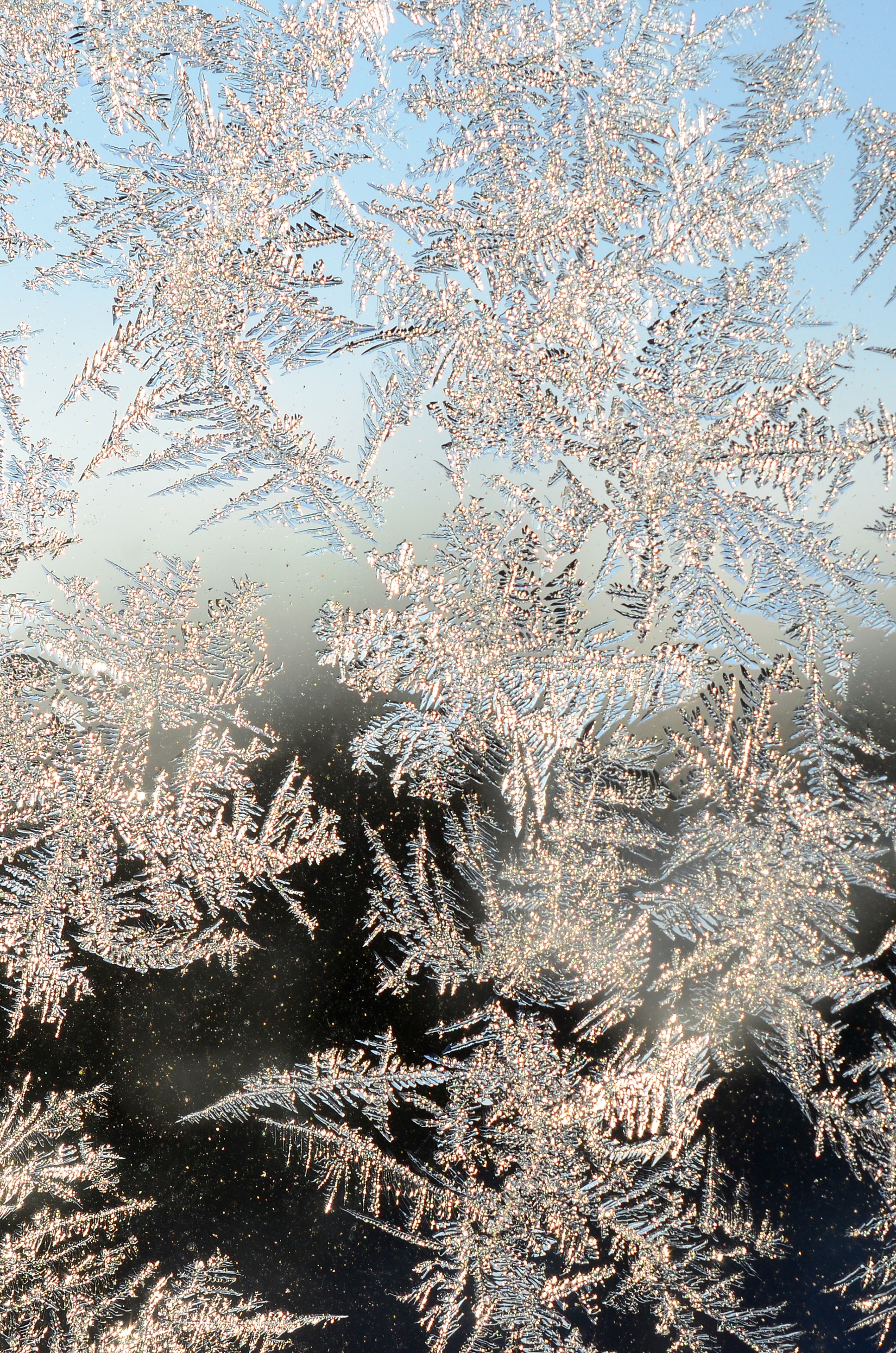 Flocos de neve com gelo em janela de vidro