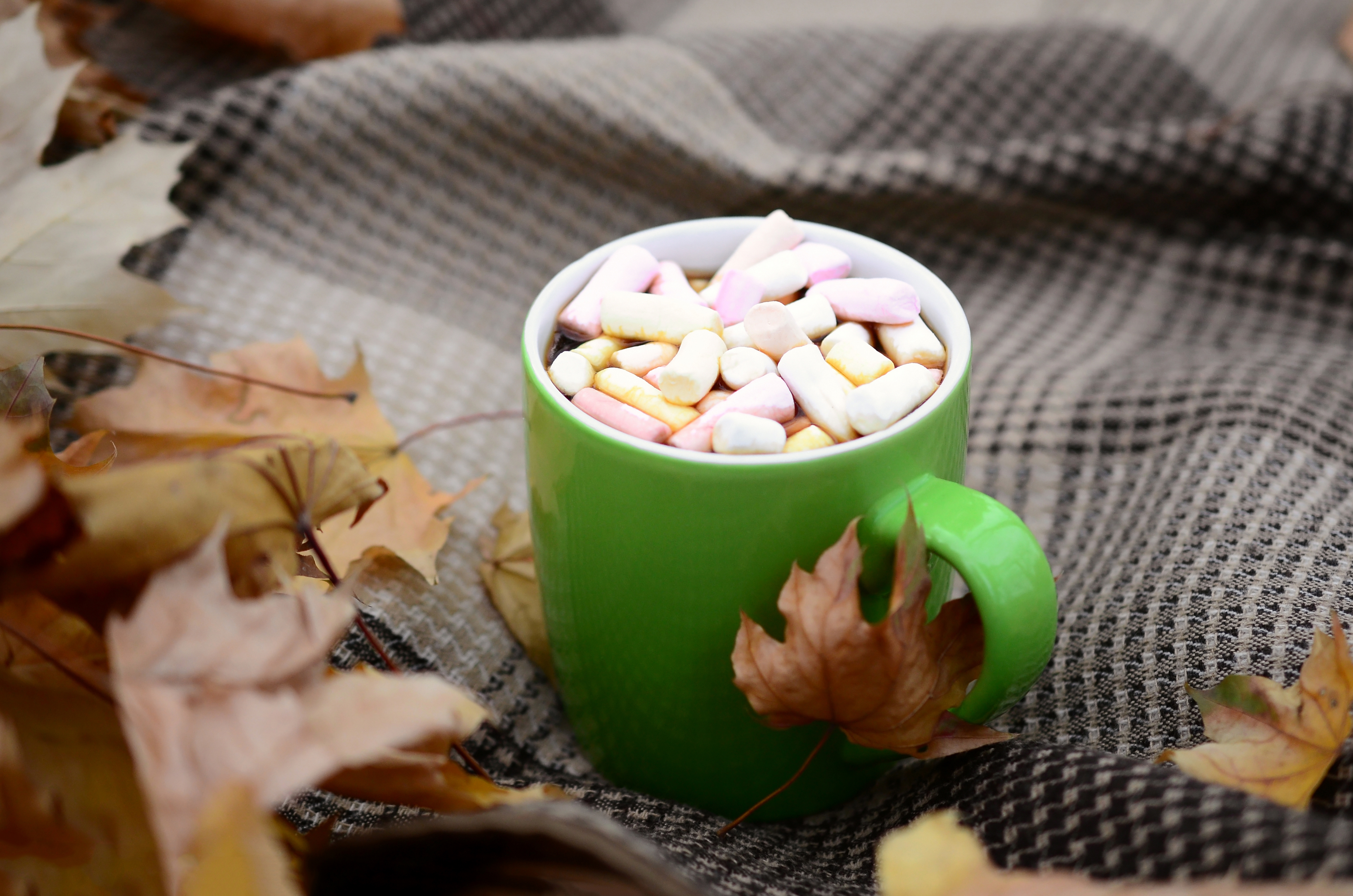 Folhas de outono e xícara de café quente estão em xadrez ao ar livre