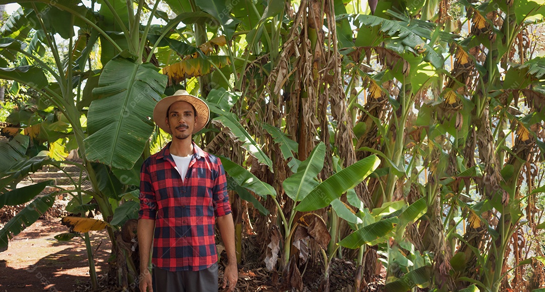 Agricultor em frente a uma plantação de bananeiras em um dia ensolarado