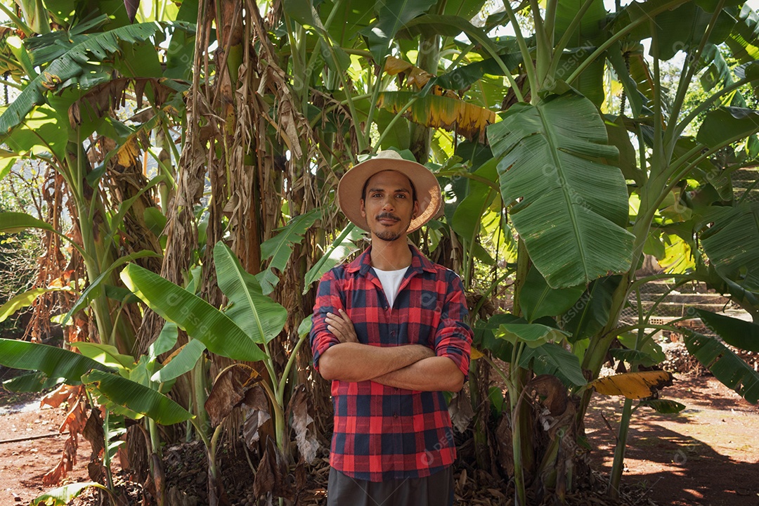 Agricultor em frente a uma plantação de bananeiras em um dia ensolarado