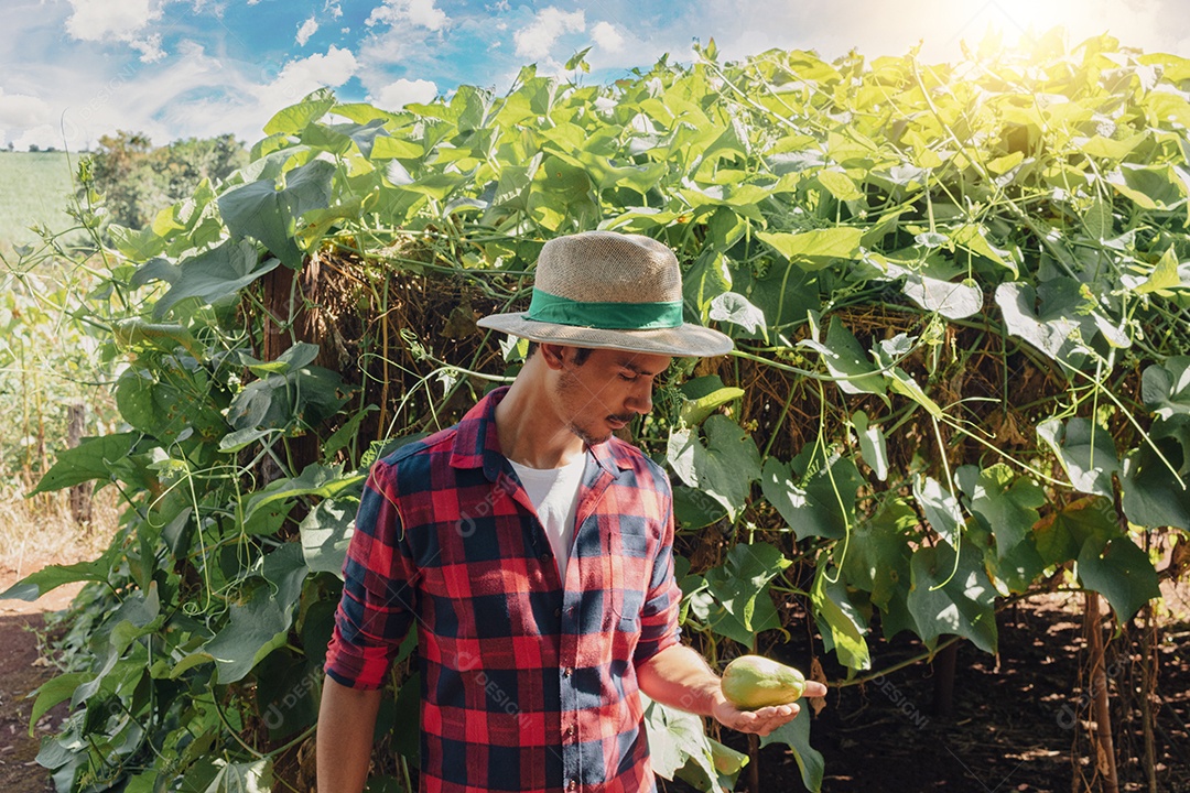Retrato de um agricultor em uma fazenda