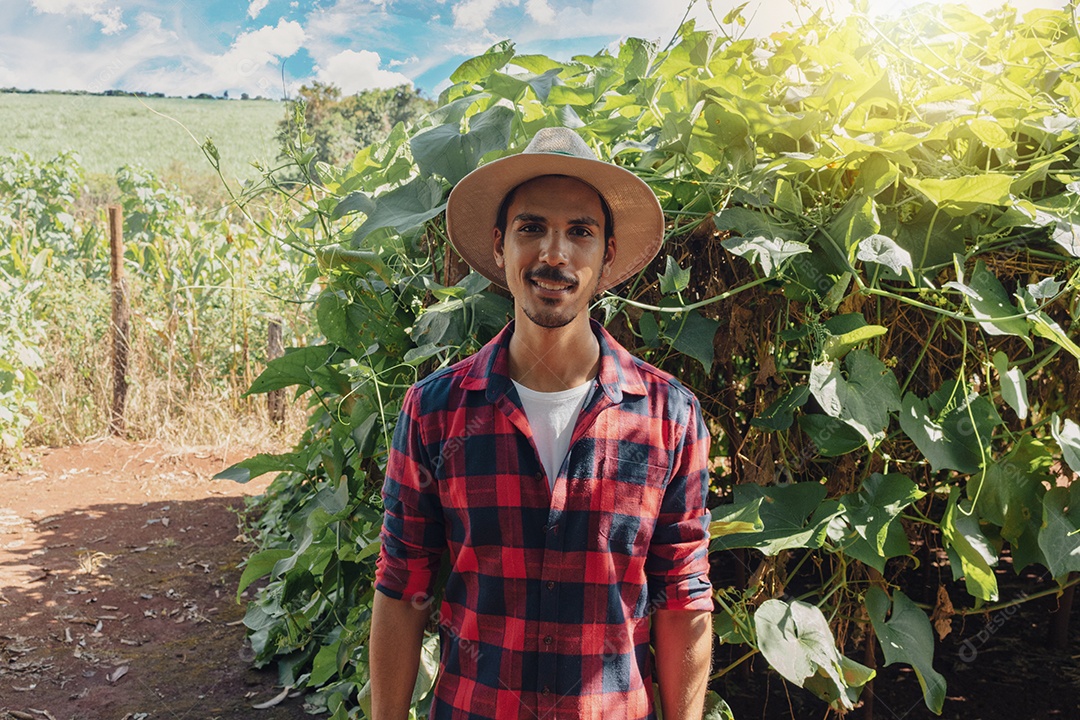 Agricultor em frente à plantação de berinjelas em um dia ensolarado