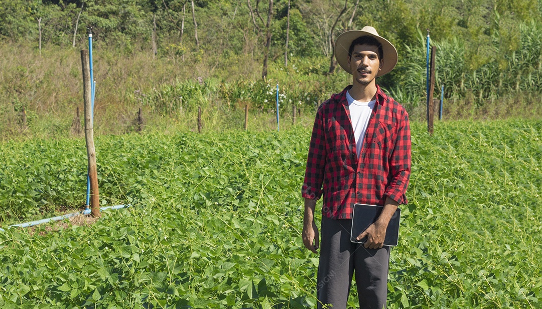 Aplicação de tecnologia moderna na atividade agrícola