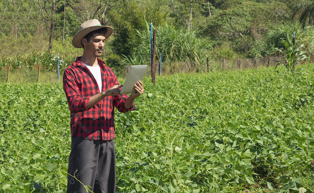 Aplicação de tecnologia moderna na atividade agrícola