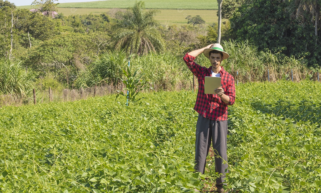 Aplicação de tecnologia moderna na atividade agrícola