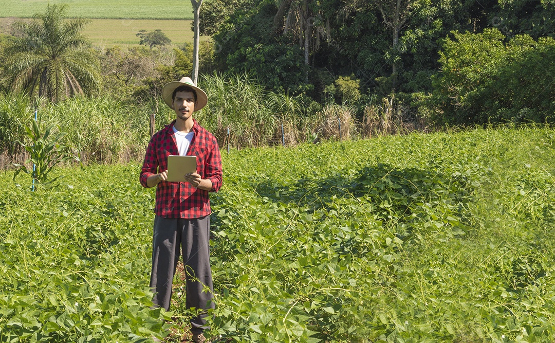 Aplicação de tecnologia moderna na atividade agrícola