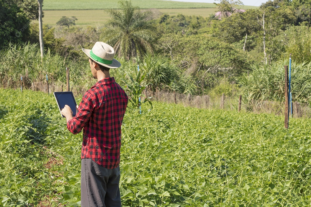 Aplicação de tecnologia moderna na atividade agrícola