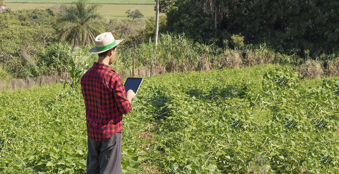 Aplicação de tecnologia moderna na atividade agrícola