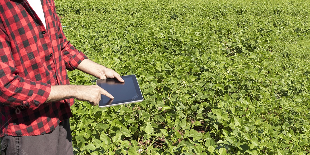 Aplicação de tecnologia moderna na atividade agrícola