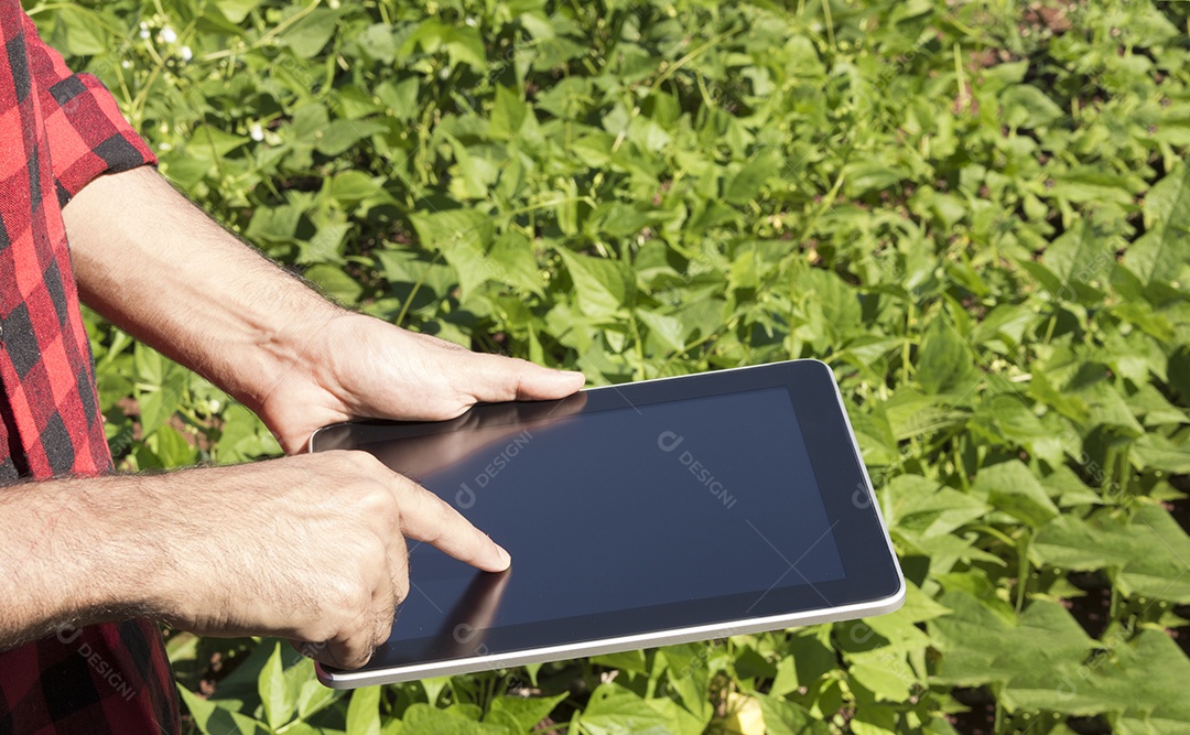 Aplicação de tecnologia moderna na atividade agrícola