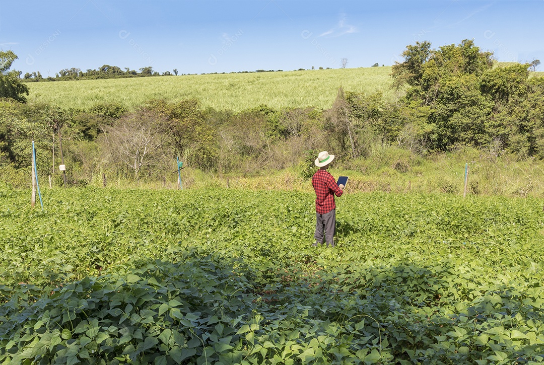 Aplicação de tecnologia moderna na atividade agrícola