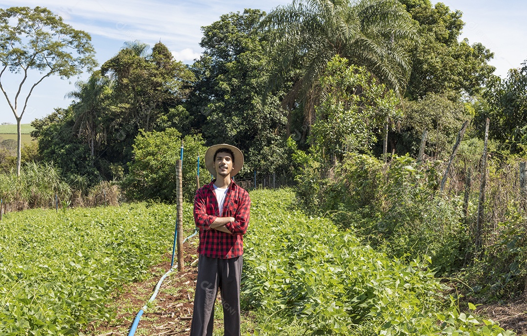 Aplicação de tecnologia moderna na atividade agrícola
