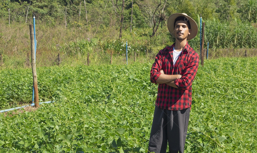 Agricultor usando tablet digital em plantação de soja