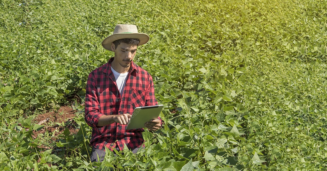 Agricultor usando tablet digital em plantação de soja