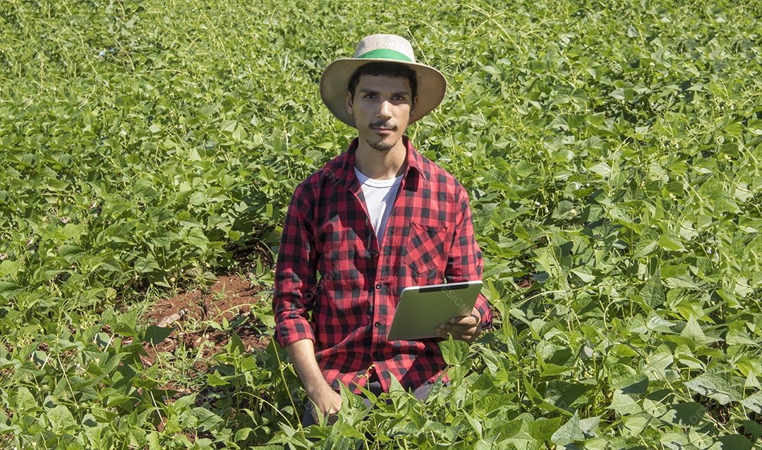 Agricultor usando tablet digital em plantação de soja