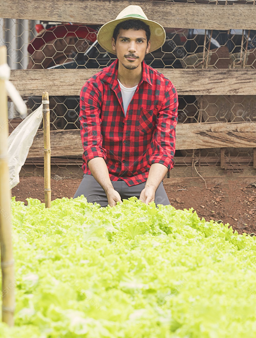 Fazendeiro bonito em um campo de plantação de alface