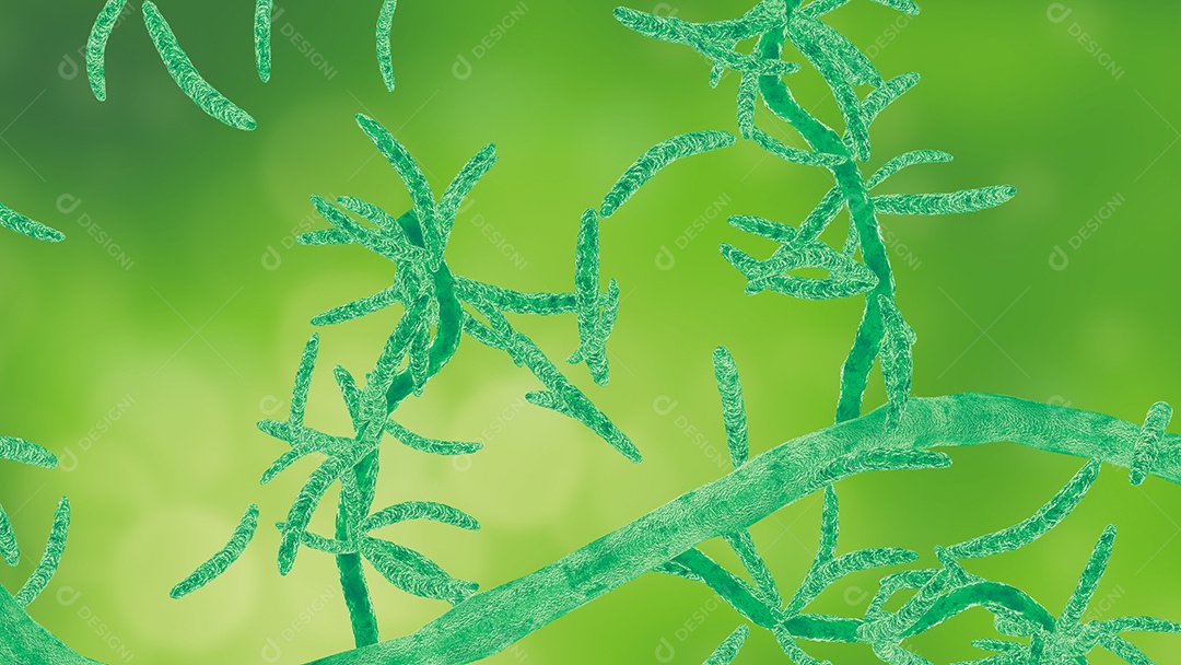 Fusarium oxysporum é um fungo que sobrevive no solo