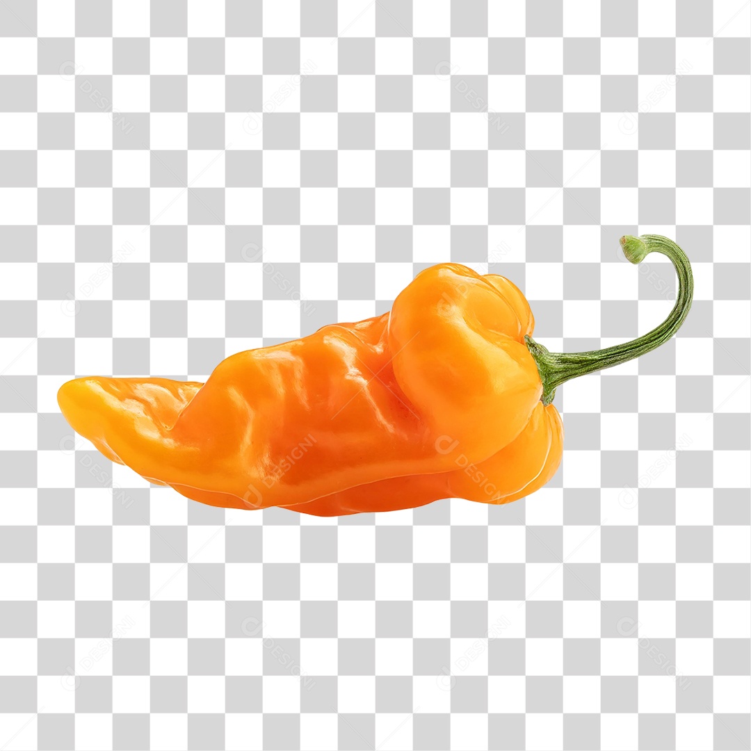 Pimenta Habanero PNG Transparente