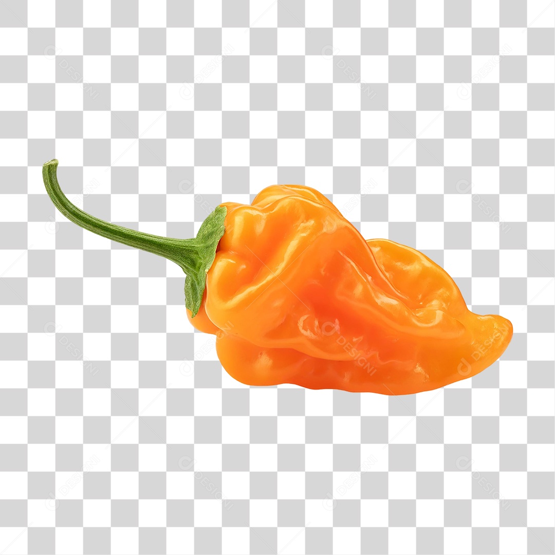 Pimenta Habanero PNG Transparente