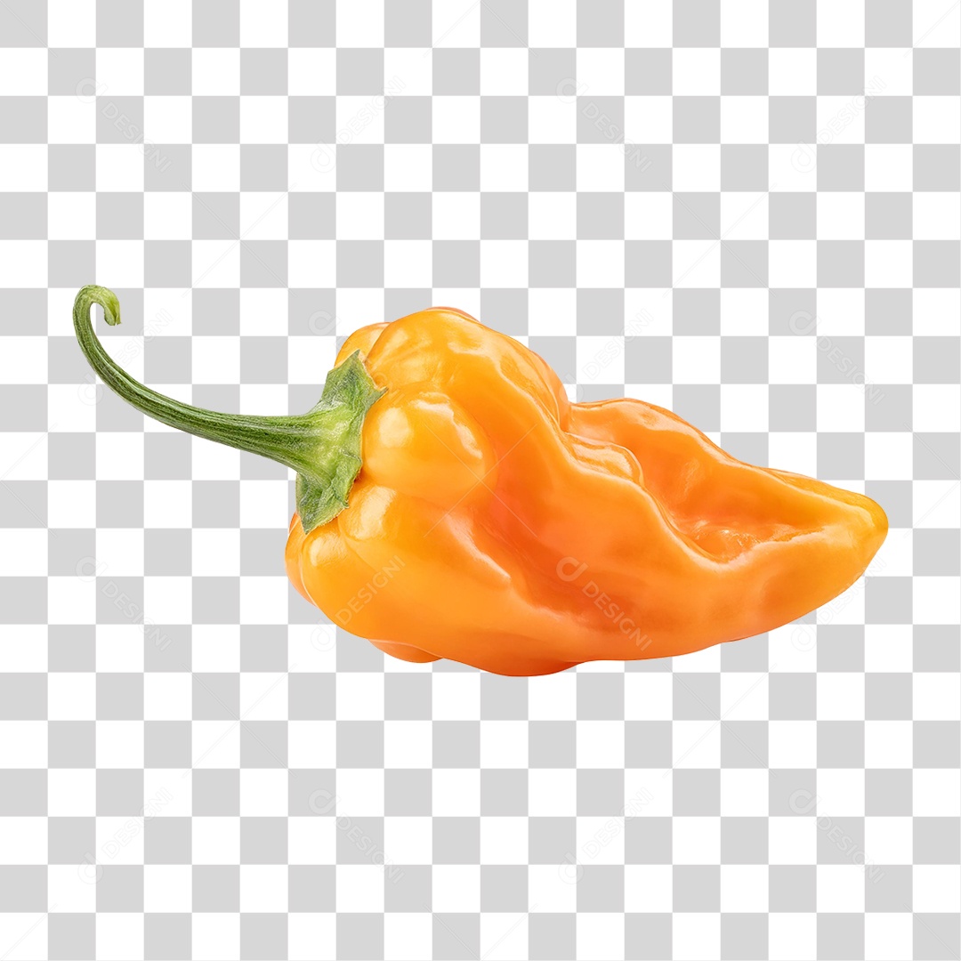 Pimenta Habanero PNG Transparente