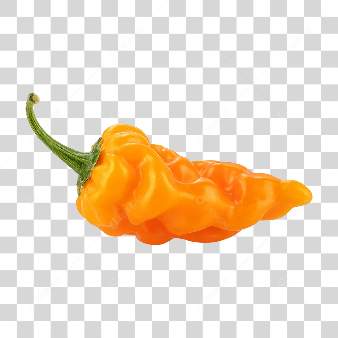 Pimenta Habanero PNG Transparente