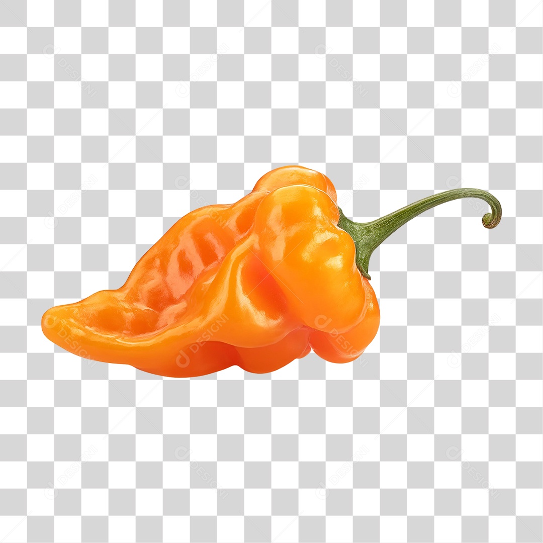 Pimenta Habanero PNG Transparente