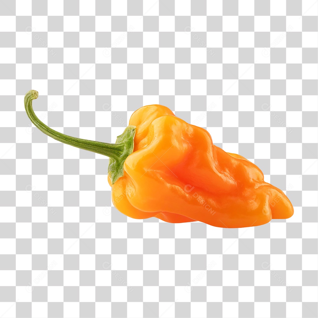 Pimenta Habanero PNG Transparente