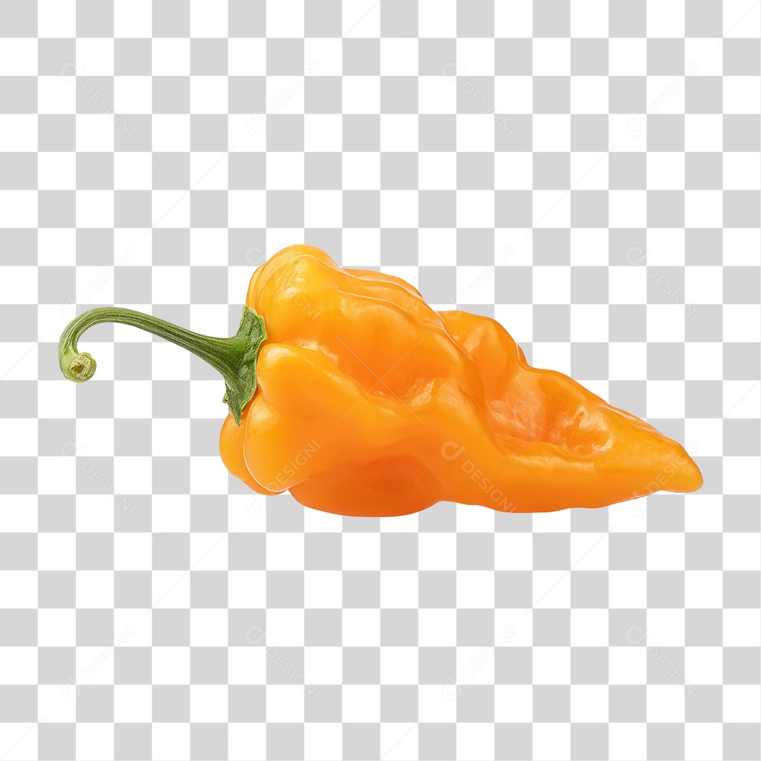 Pimenta Habanero PNG Transparente