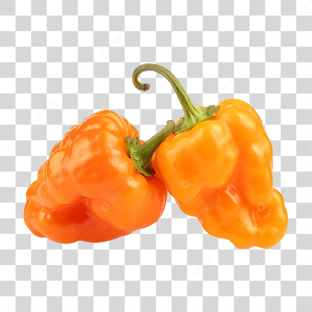 Pimenta Habanero PNG Transparente