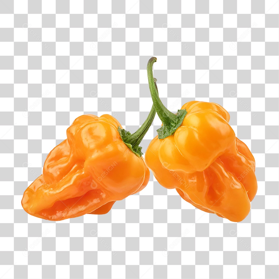Pimenta Habanero PNG Transparente