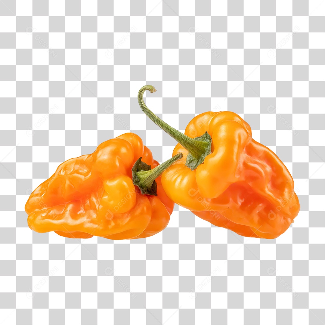 Pimenta Habanero PNG Transparente