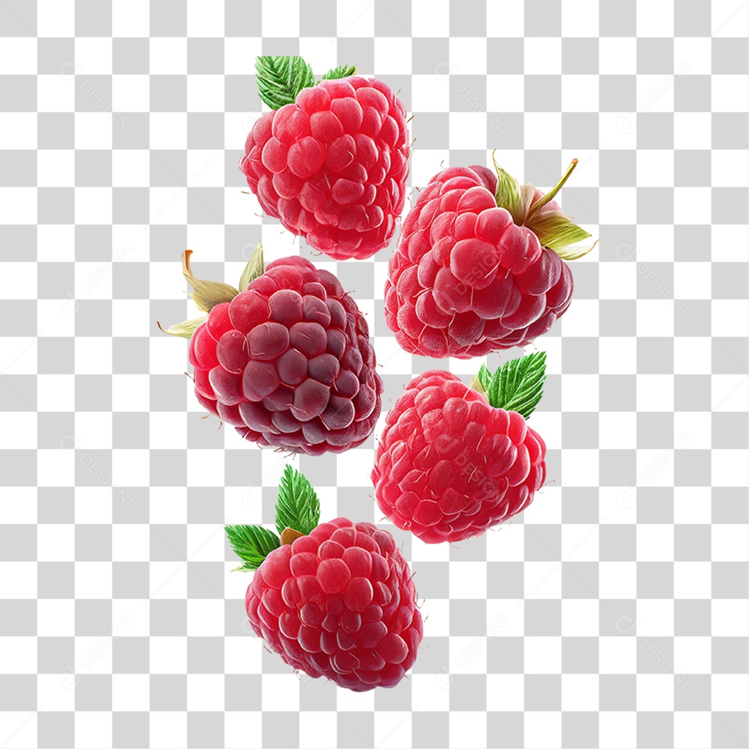 Framboesas Frescas PNG Transparente