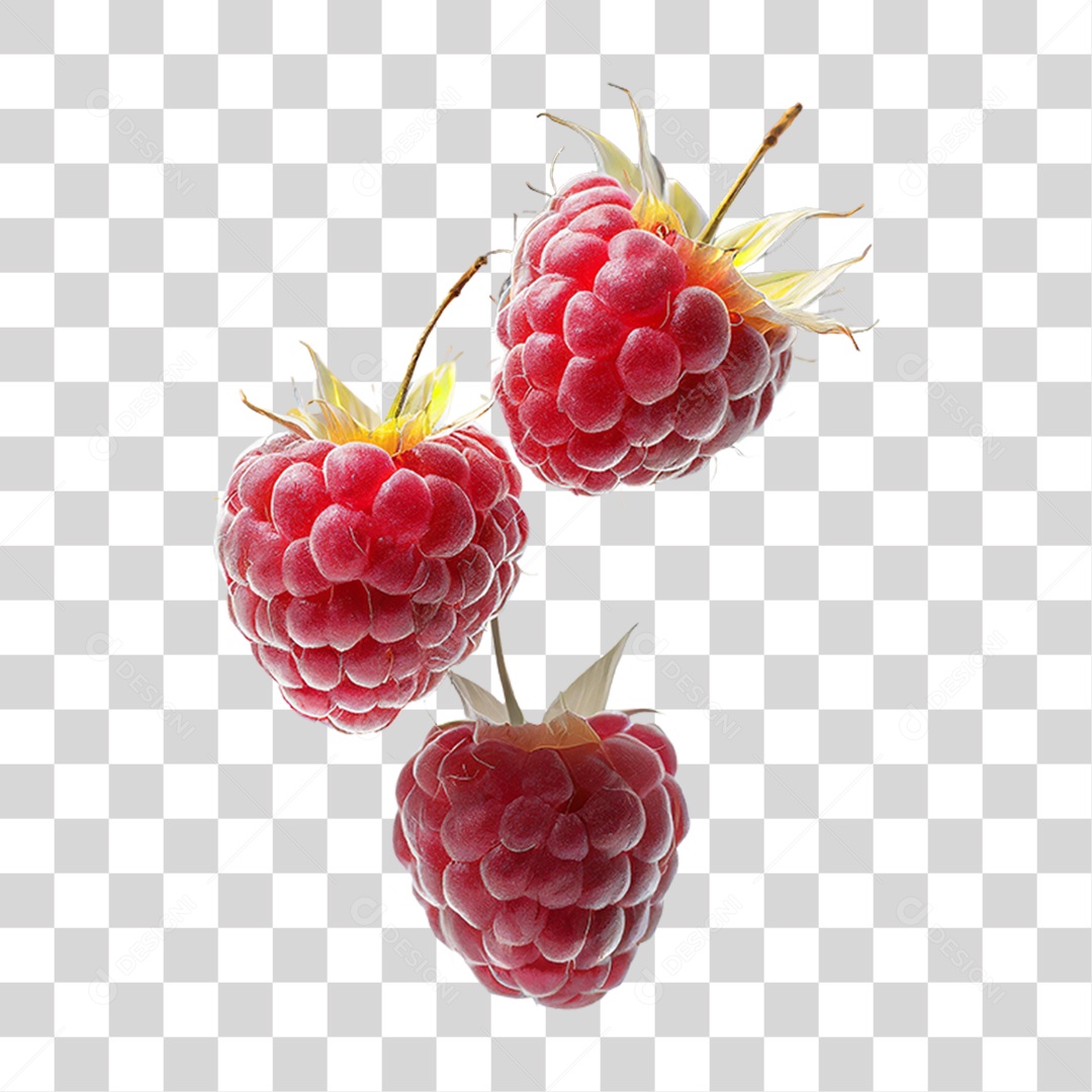Framboesas Frescas PNG Transparente
