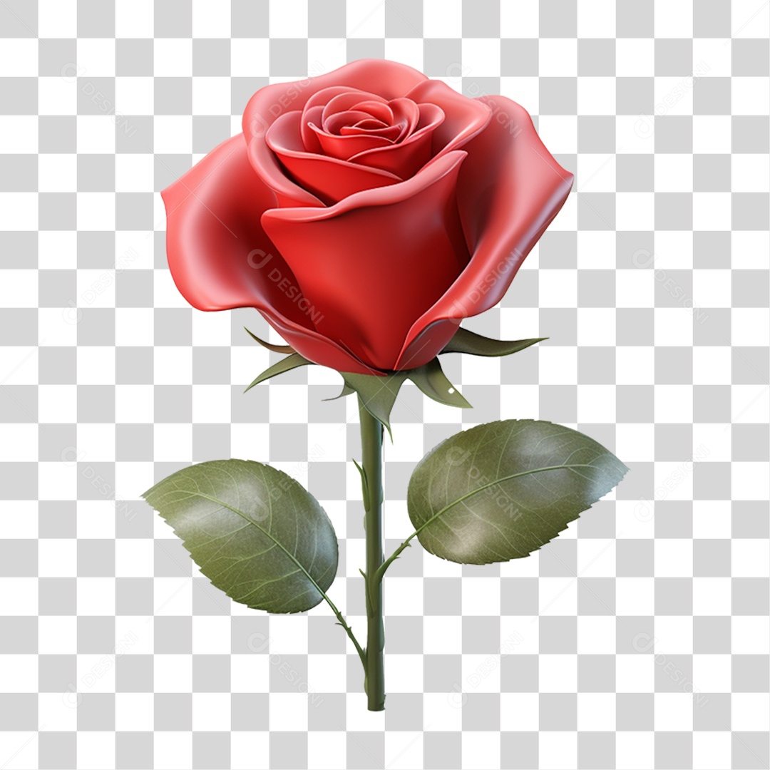 Flor Rosa Flores Jardim PNG Transparente