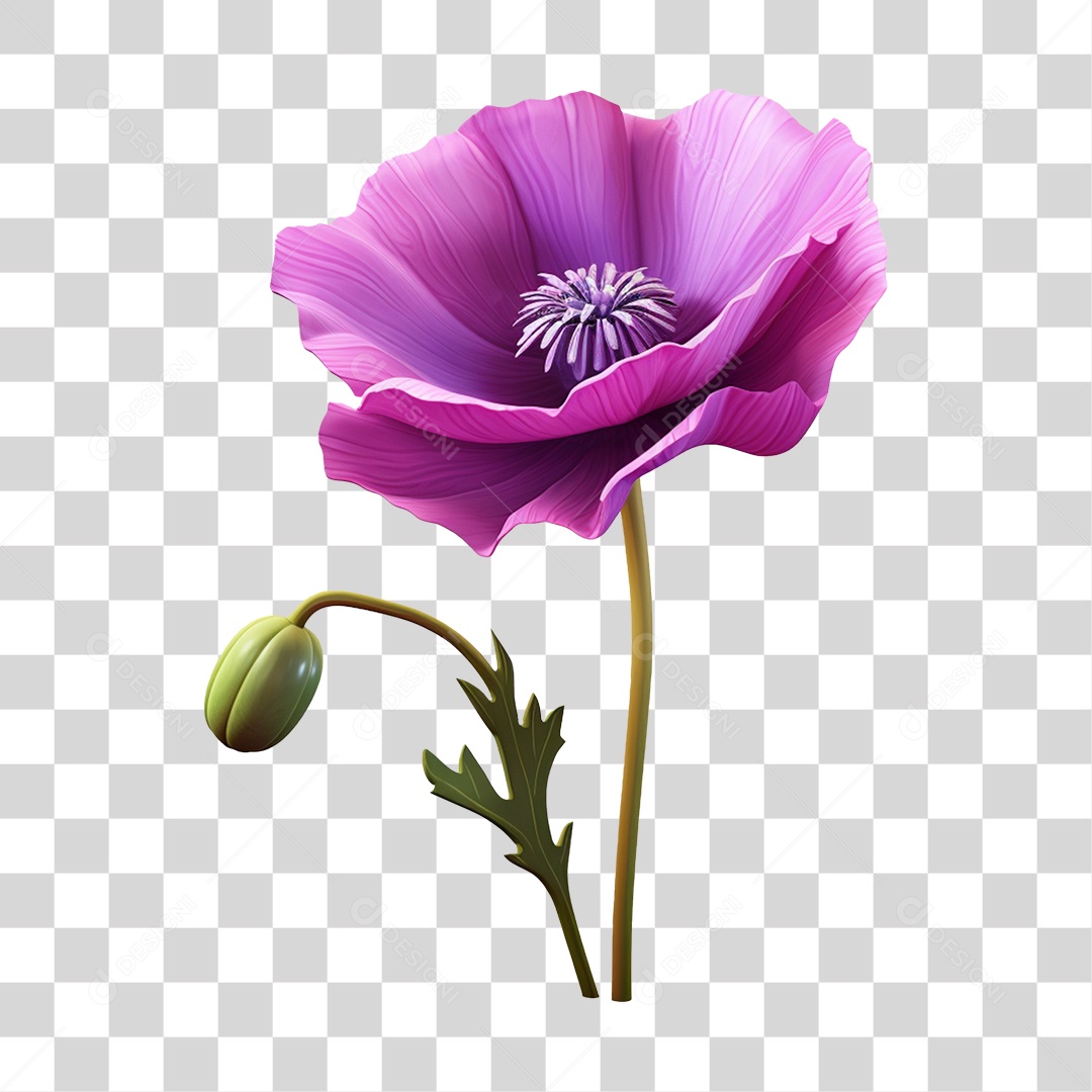 Flor Rosa Flores Jardim PNG Transparente