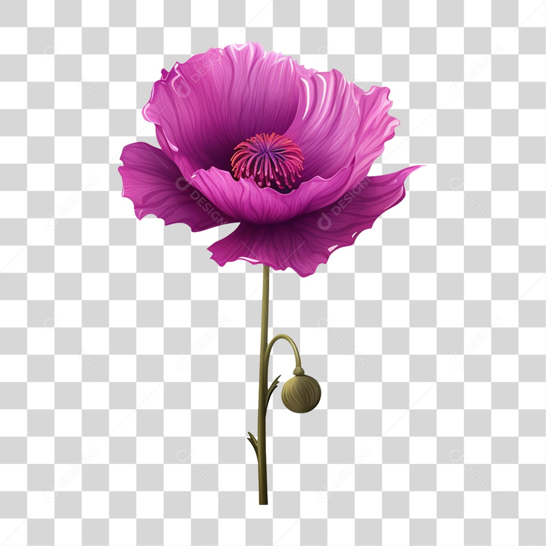 Flor Rosa Flores Jardim PNG Transparente