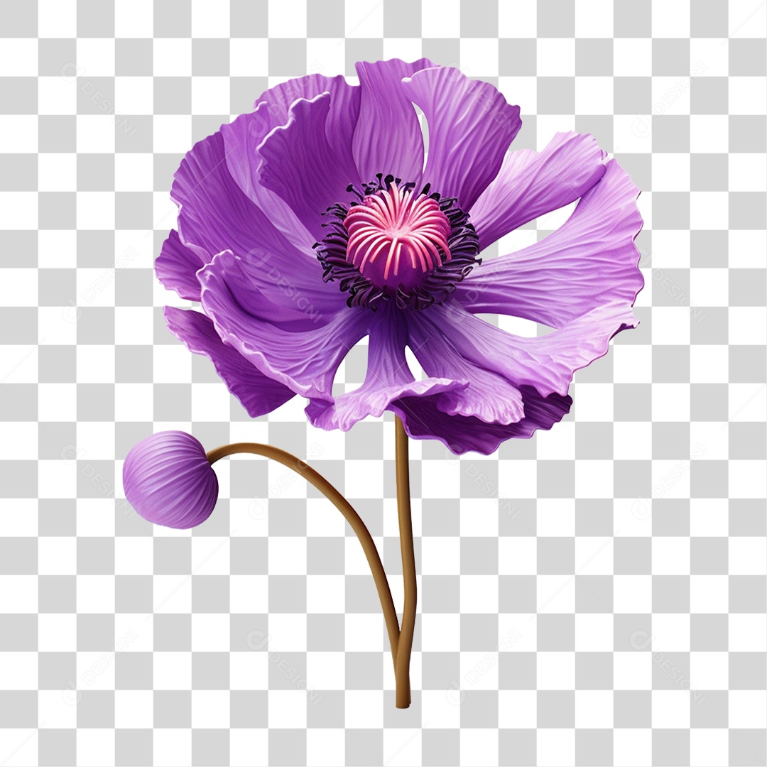 Flor Rosa Flores Jardim PNG Transparente