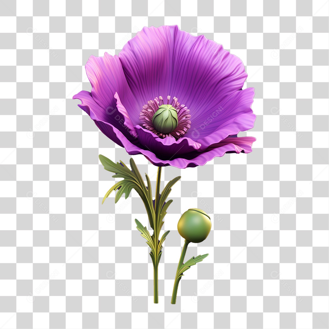 Flor Rosa Flores Jardim PNG Transparente
