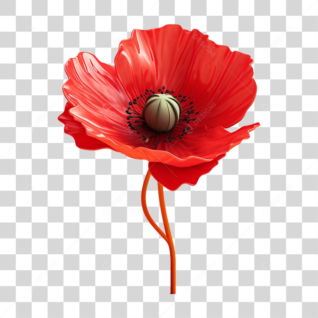 Flor Rosa Flores Jardim PNG Transparente