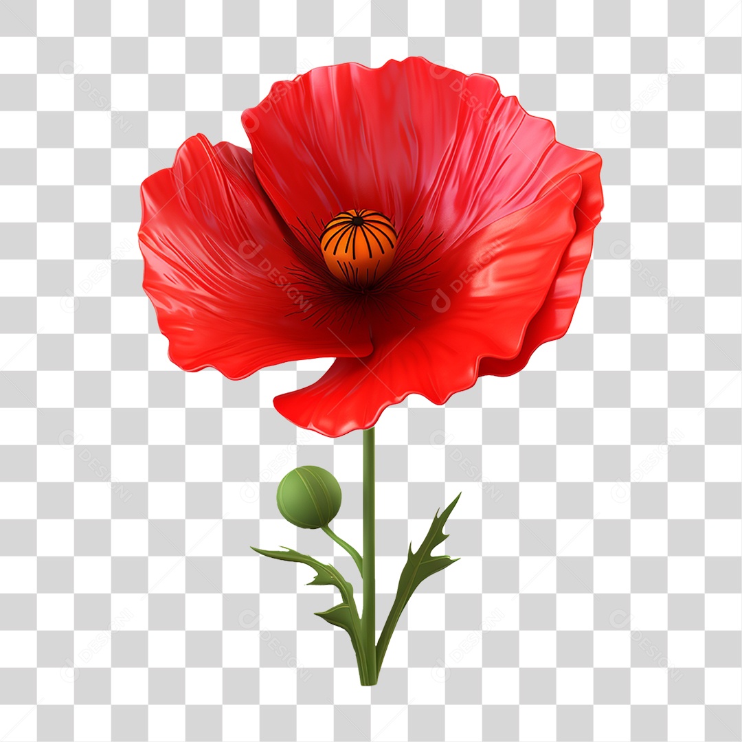 Pink Flower Garden Flowers Transparent PNG