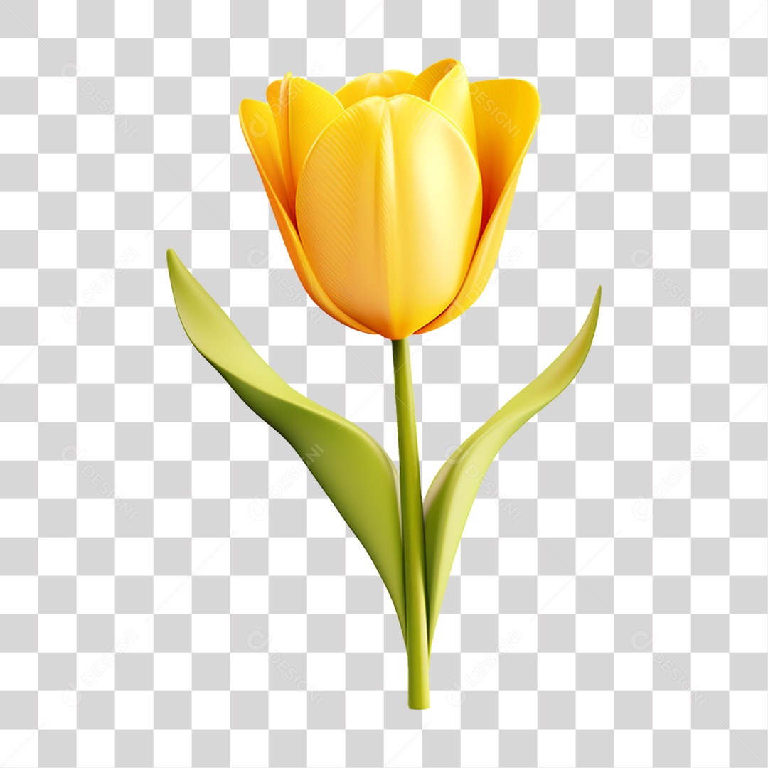 Flor Rosa Flores Jardim PNG Transparente