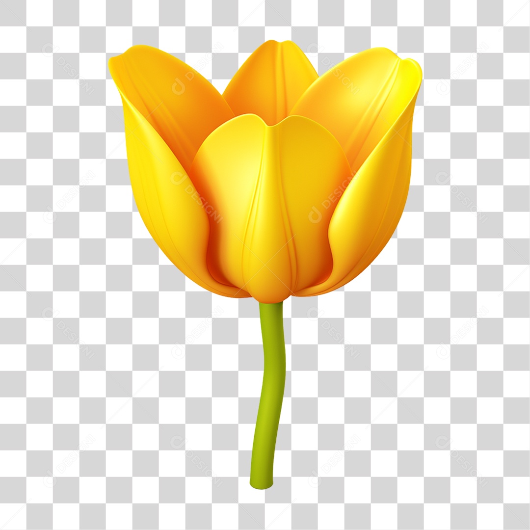 Flor Rosa Flores Jardim PNG Transparente