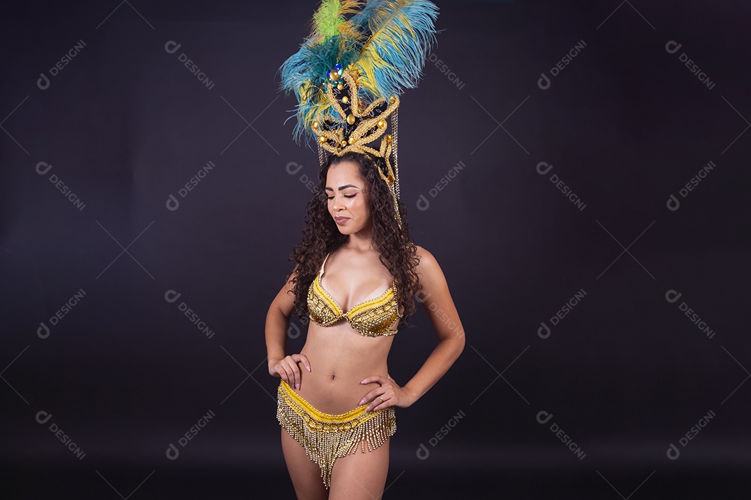 Linda passista fantasiada para o carnaval.