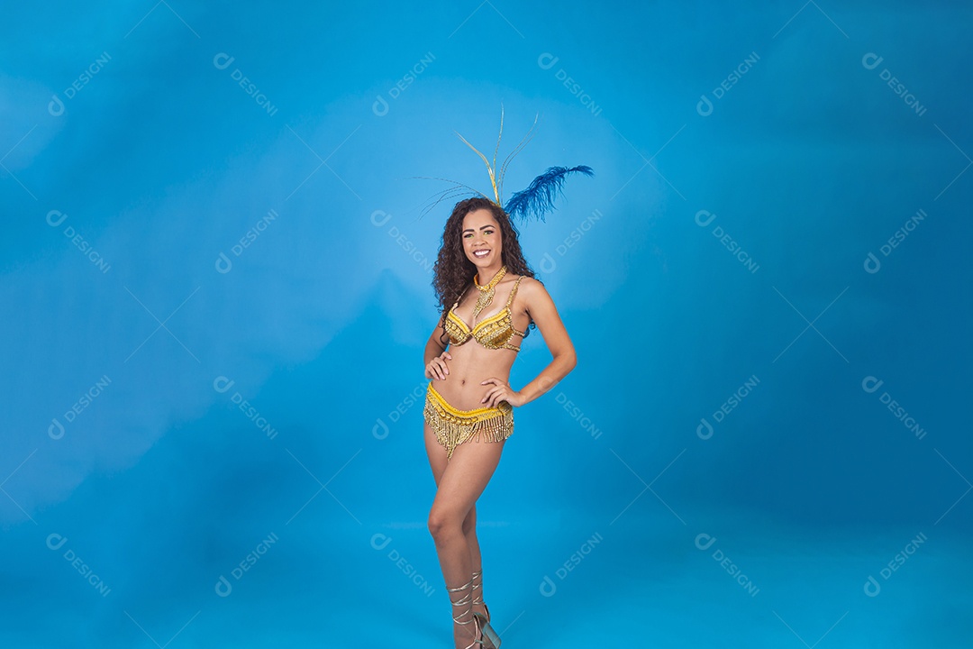 Linda passista fantasiada para o carnaval.