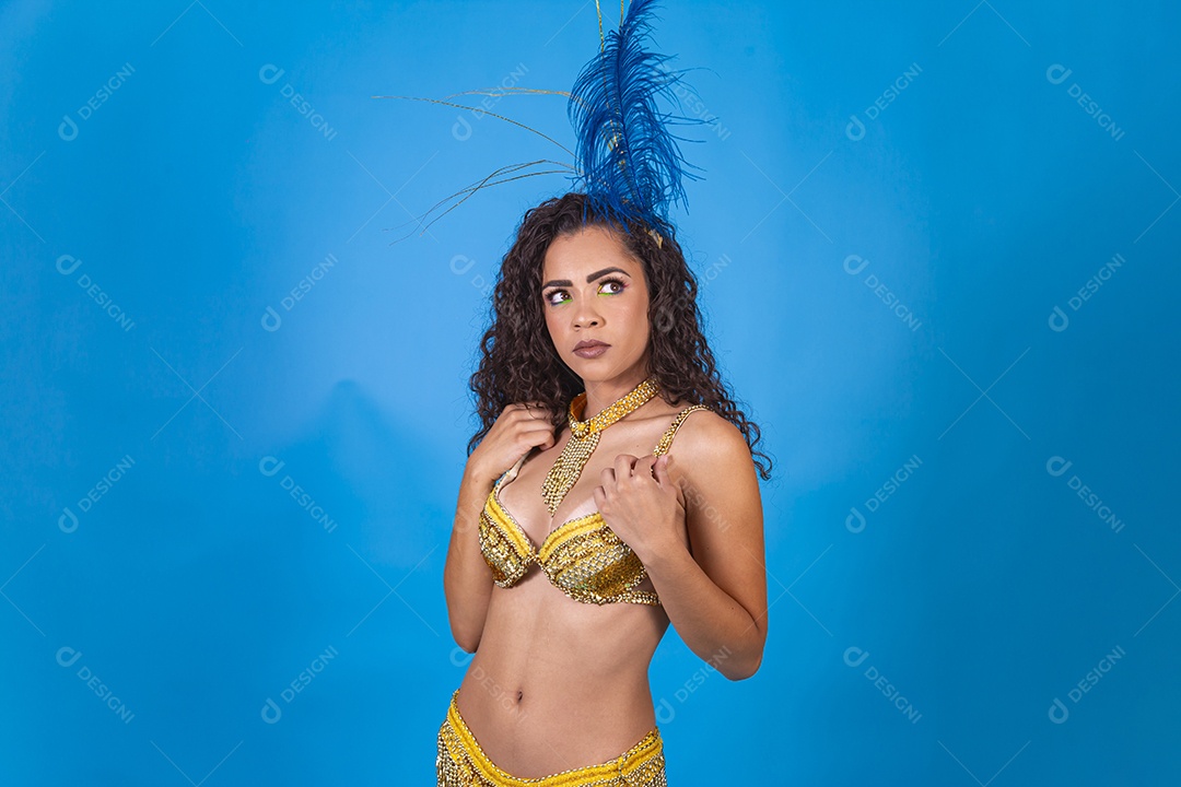 Linda passista fantasiada para o carnaval.