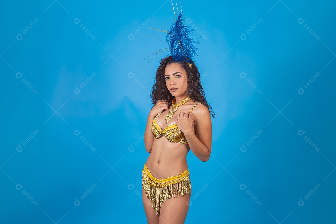 Linda passista fantasiada para o carnaval.