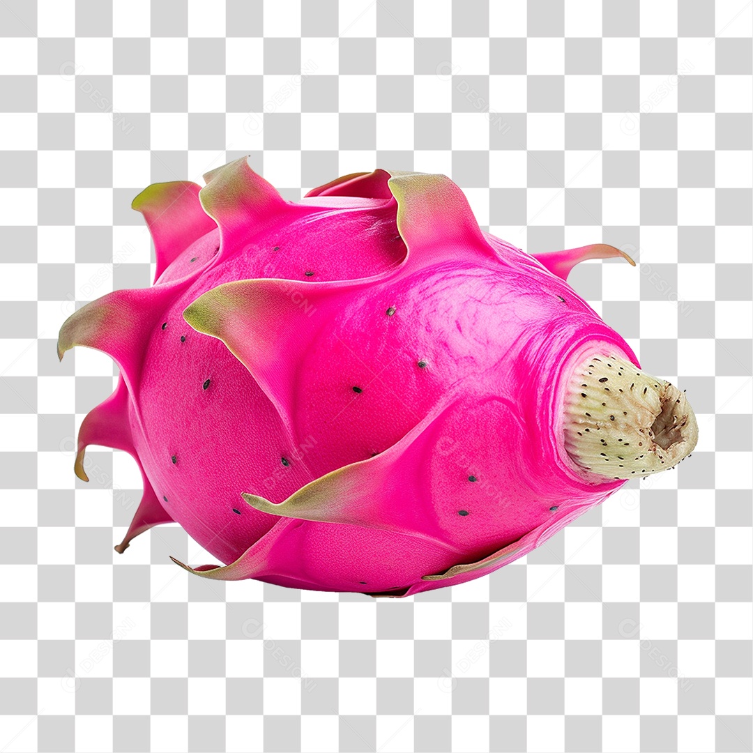 Fruta Pitaya PNG Transparente